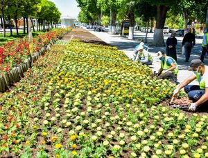 Malatya’da parklar çiçeklerle süsleniyor